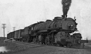 edited anita picture of bull moose 2